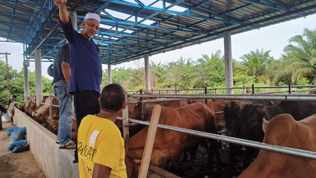 Ibadah Qurban 2025 – Penyertaan Masih Dibuka