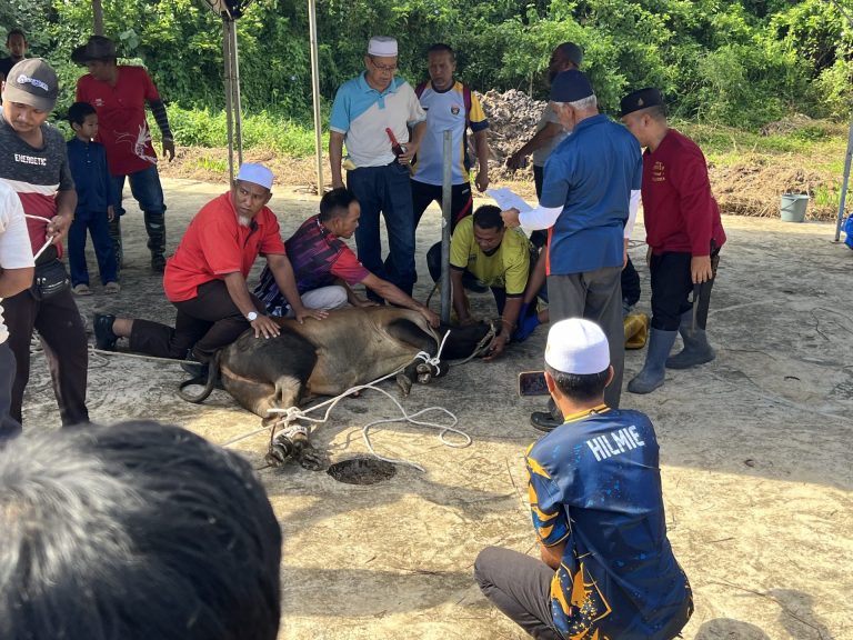 Ibadah Korban Perdana Al Raudhah 2025